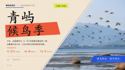 奶油拼贴